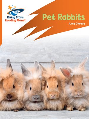 cover image of Pet Rabbits